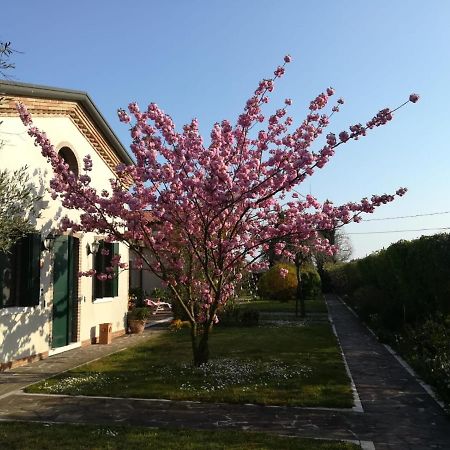 Casa Pianta Cavallino-Treporti Exterior foto