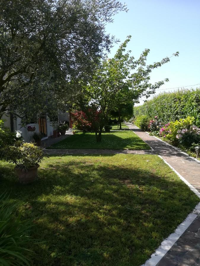 Casa Pianta Cavallino-Treporti Exterior foto